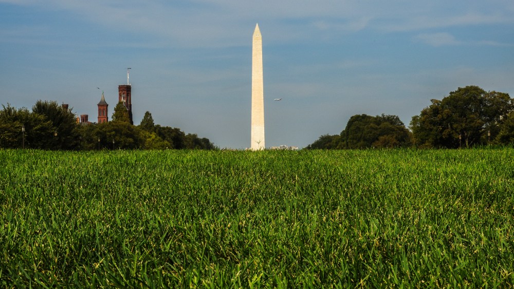 Image: Newly refurbished grass on the national Mall on Sept. 9, 2016 in Washington, D.C.