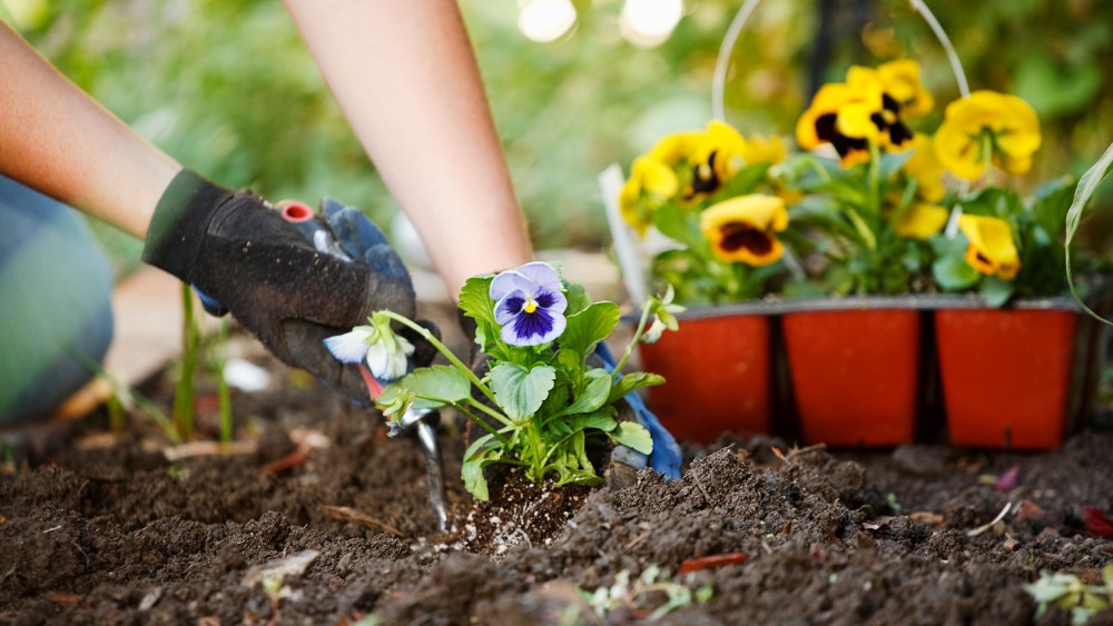 Image: Gardening Hands