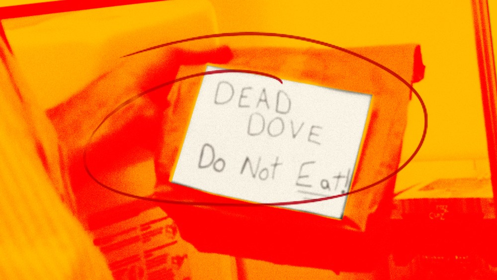 Image: A screen grab of a hand handing holding a brown bag that reads, "DEAD DOVE. Do Not Eat" with a red and yellow overlay. A red circle is scribbled over it
