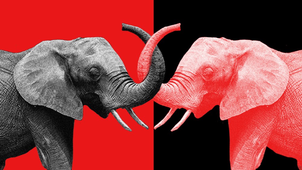 Image: Two elephants, one black and white and the other red, interlock their trunks against red and black backgrounds.