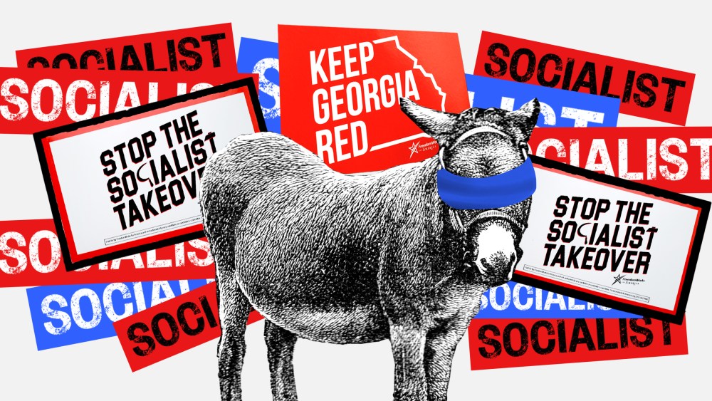 Image: A donkey will a blue blindfold is surrounded by protest signs that read,"Socialist", "Don't let the socialist takeover" and "Keep Georgia Red".