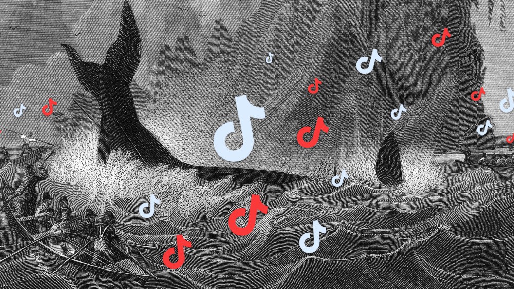 An engraving of men in small row boats surrounding a whale spearing it with harpoons superimposed by red and light blue musical notes.