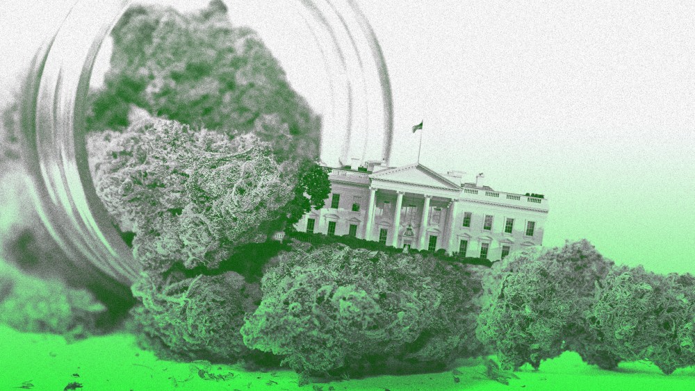 Photo illustration of marijuana spilling out of an open jar and a the White House in the middle of it.