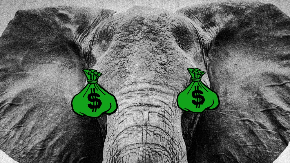 Photo illustration of an elephants head with moneybags for eyes.