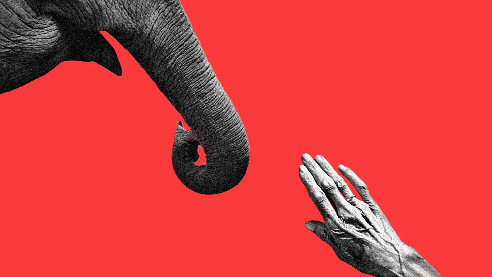 Photo illustration: An elderly hand reaches out to an elephant trunk.
