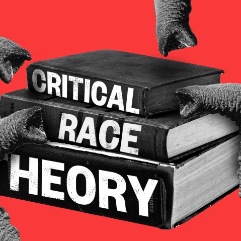 Photo illustration: Elephant trunks attacking three books titled,"Critical", "Race" and "theory".