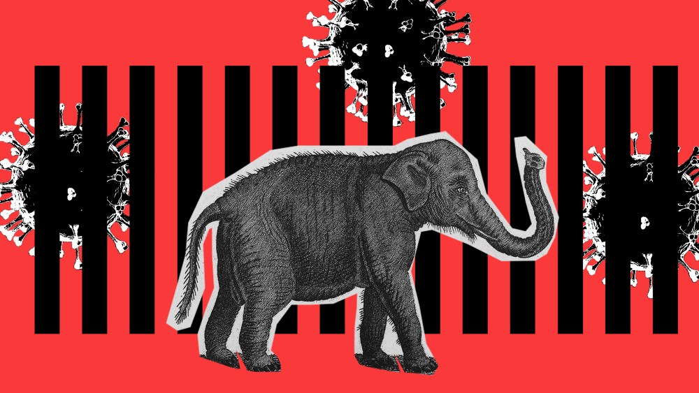 Photo illustration: A cut out of an elephant walking on one side of a fence. Covid spores are floating on the other side.