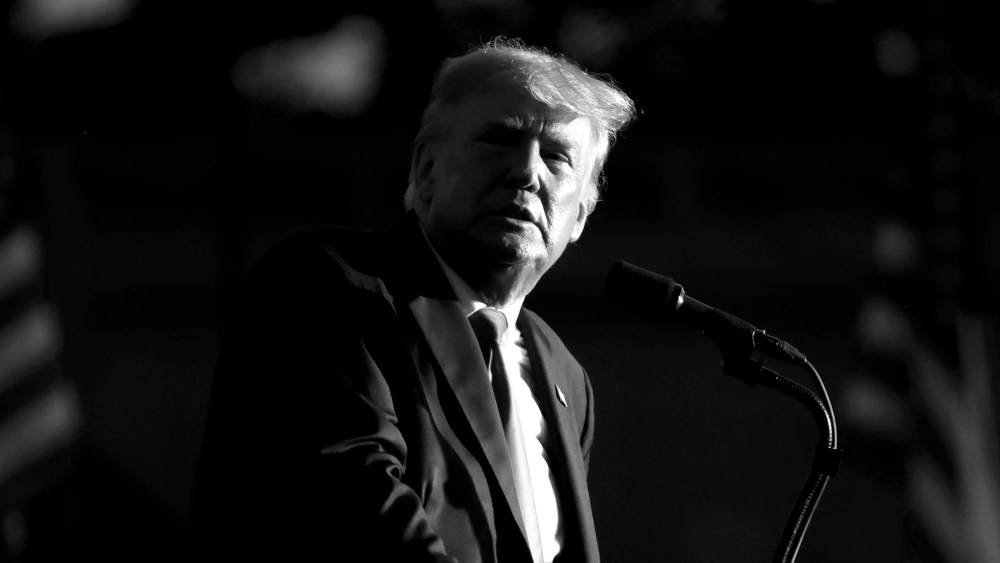 Image: Donald Trump speaking to supporters.