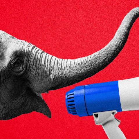 Illustration of an elephant yelling into a megaphone
