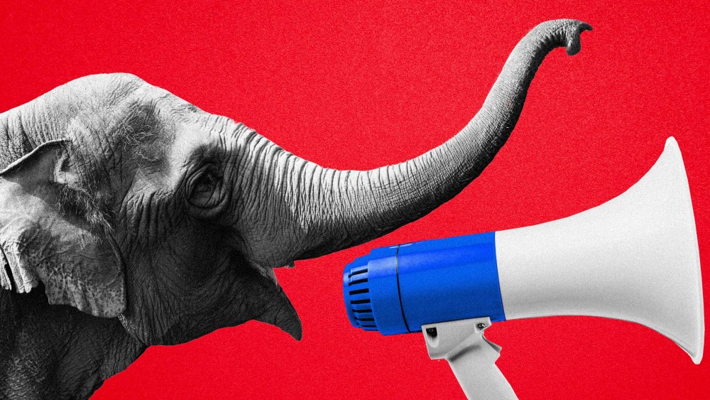Illustration of an elephant yelling into a megaphone