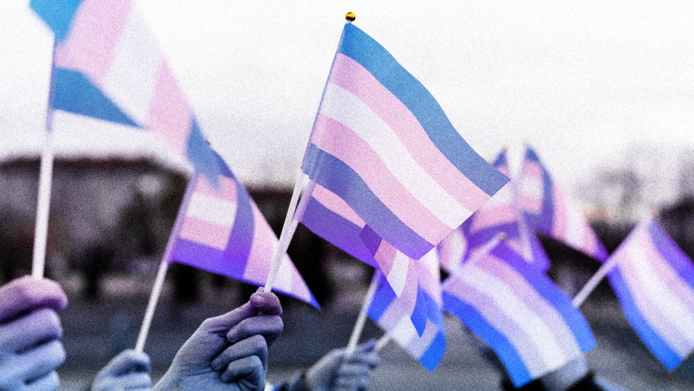 Image: Multiple hands waving transgender pride flags.