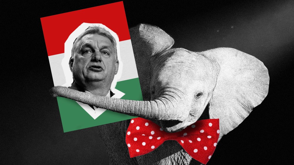 Photo illustration: A young elephant wearing a red bowtie holding a sign with an image of Viktor Orban.
