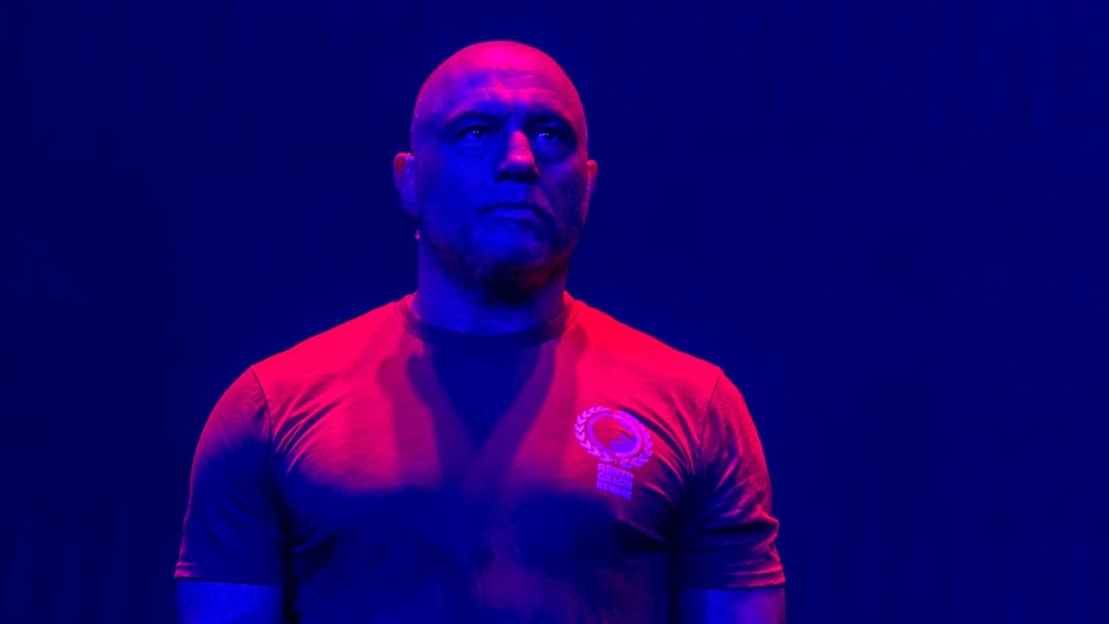 Image: Joe Rogan