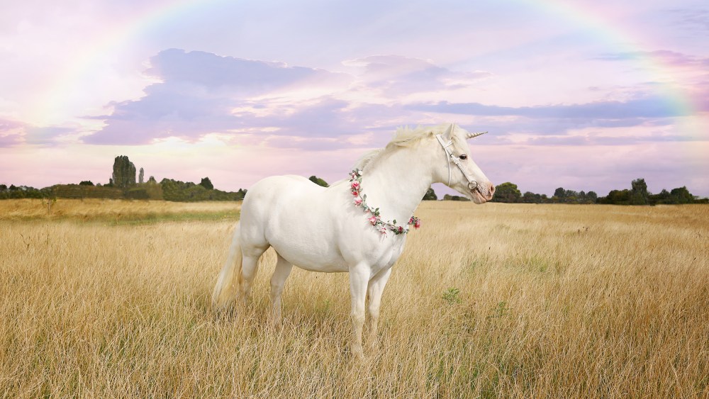 Unicorns