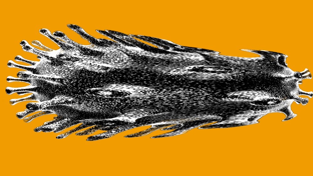 Photo illustration of a stretched Covid-19 virus spore.