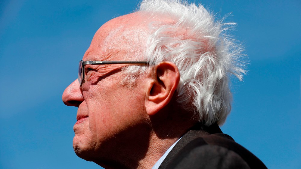 Image: Bernie Sanders