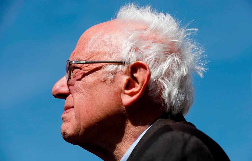 Image: Bernie Sanders