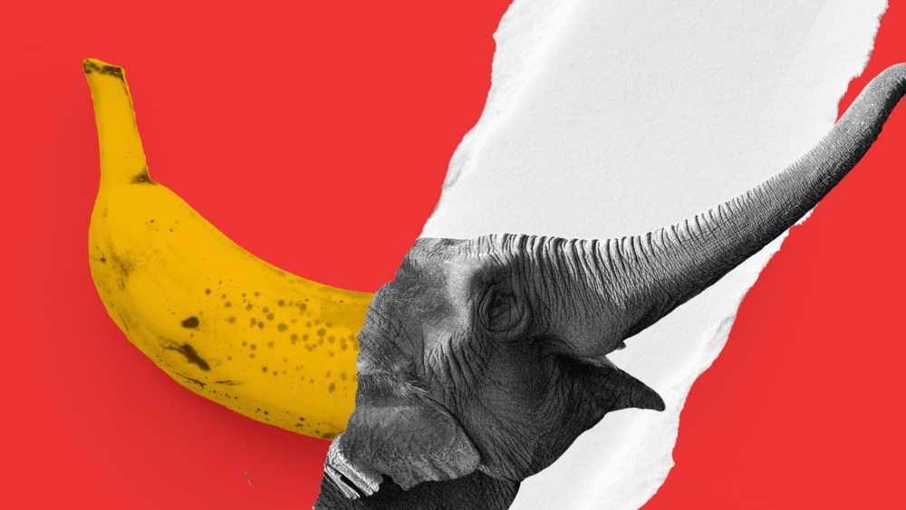 Photo illustration: An elephant head emerging from a ripped part of a red paper with a photo of a banana.