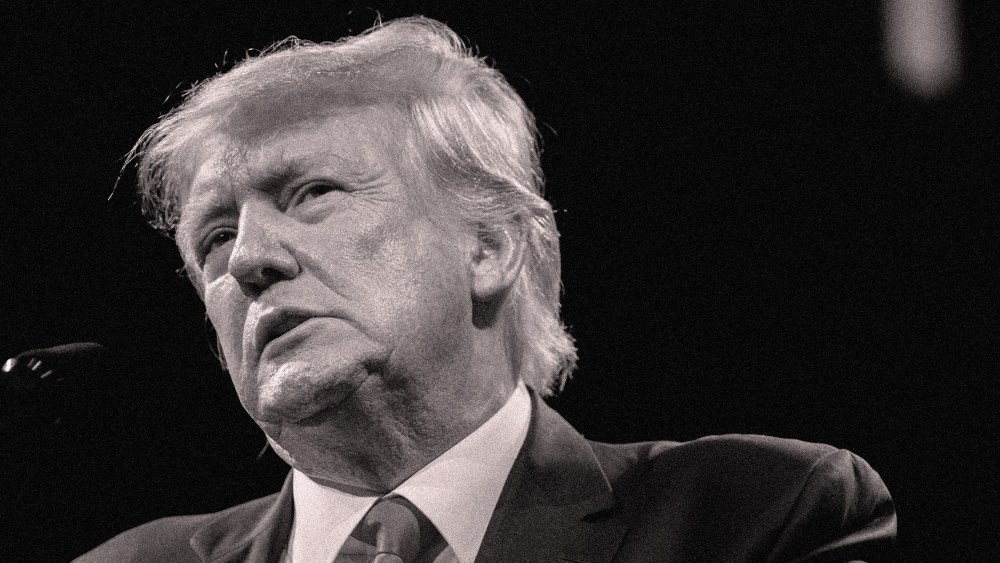 Image: Donald Trump