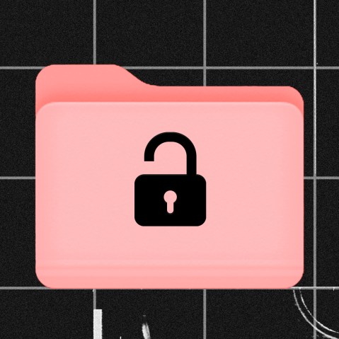 Photo illustration: An open lock on a salmon colored computer folder against a background of grid showing parts of a sonogram.