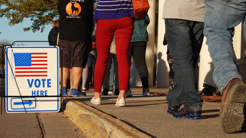 Image: People standing in a voting line.