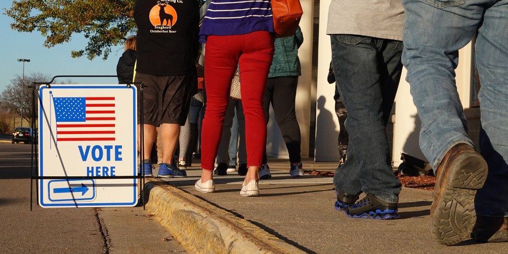 Image: People standing in a voting line.