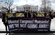 04282013_Monsanto_837a
