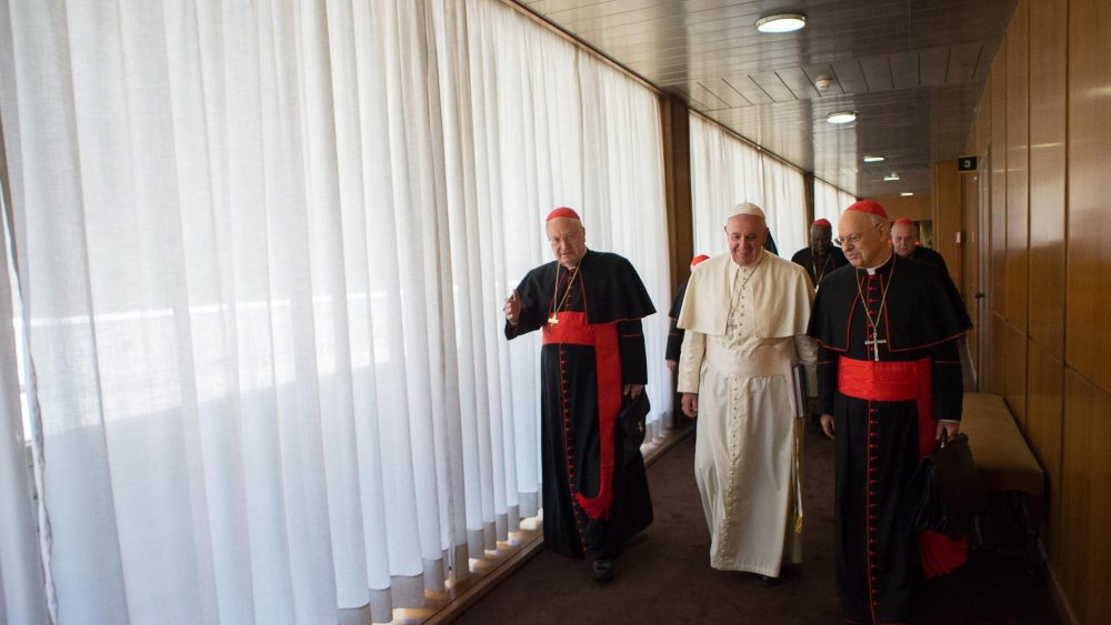 Image: Pope Francis leads a consistory