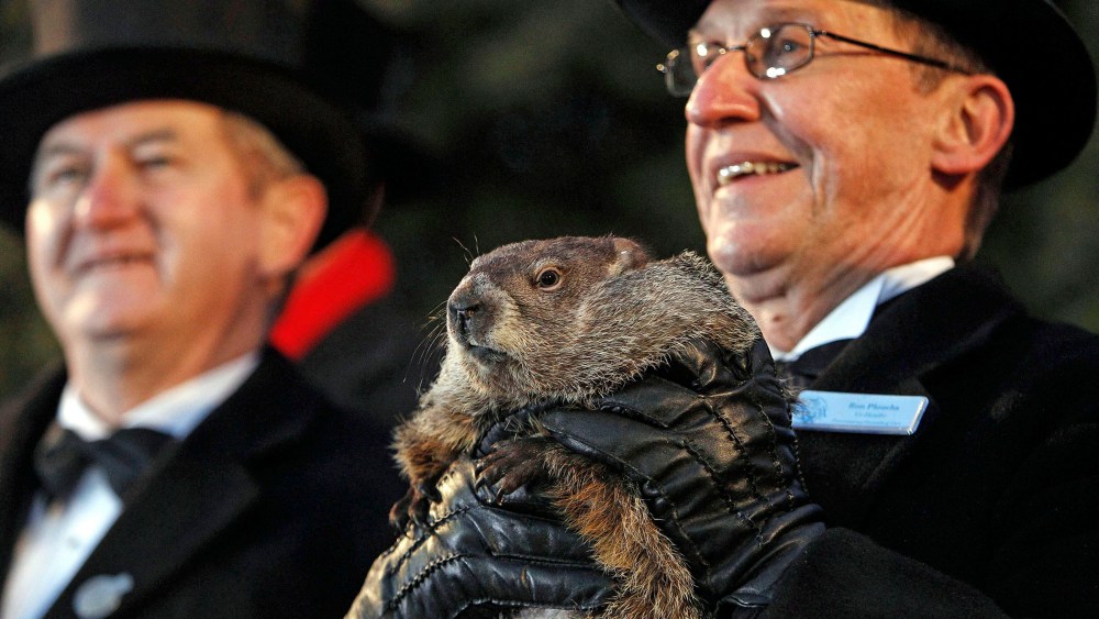 Groundhog Club handler Ron Ploucha (R) holds Punxsutawney Phil, the weather prognosticating groundhog, during the Groundhog Day celebration at Gobblers Knob in Punxsutawney, Pa., on Feb. 2, 2015. (Photo by David Maxwell/EPA)