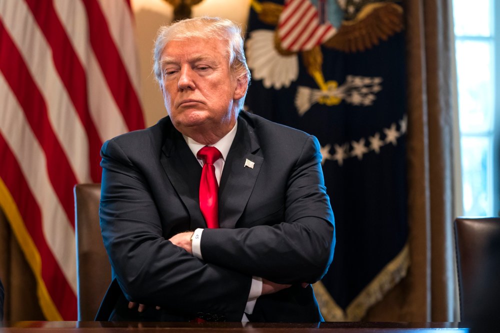 Image: President Trump announces steep tarrifs on imported steel and aluminum