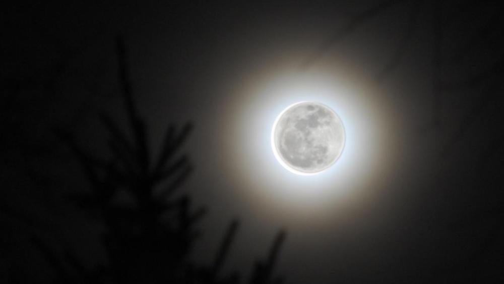 Super Moon