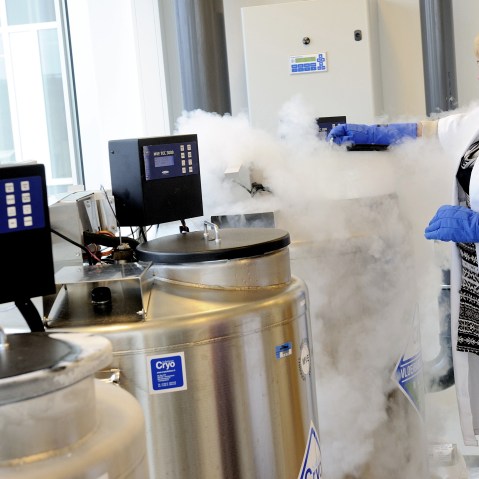 A technician opens a vessel containing women's frozen egg cells on April 6, 2011 in Amsterdam.