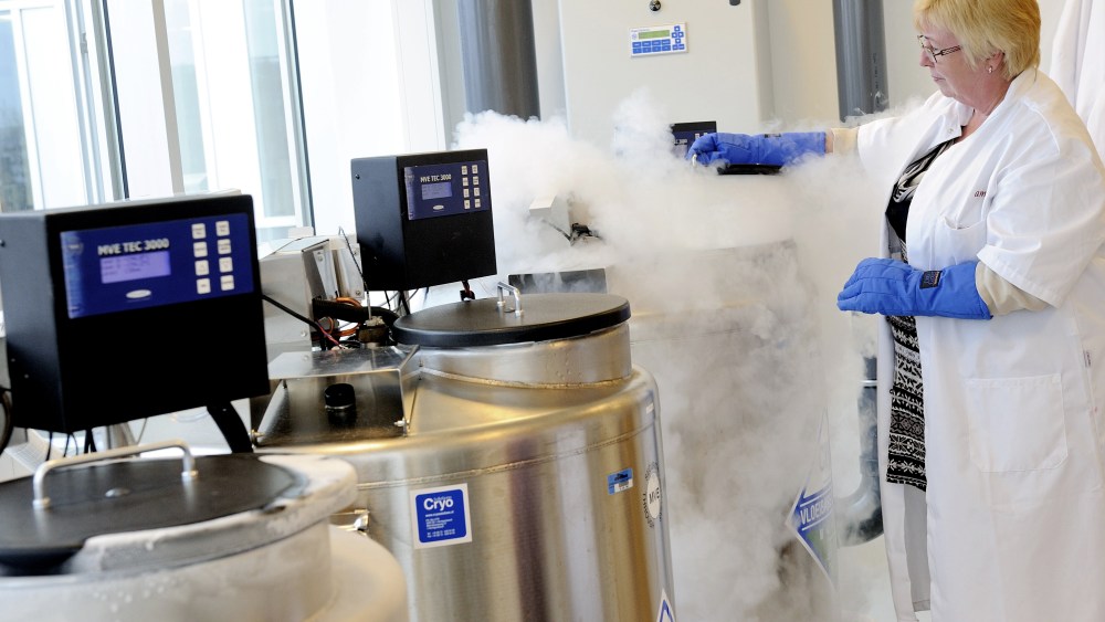 A technician opens a vessel containing women's frozen egg cells on April 6, 2011 in Amsterdam.