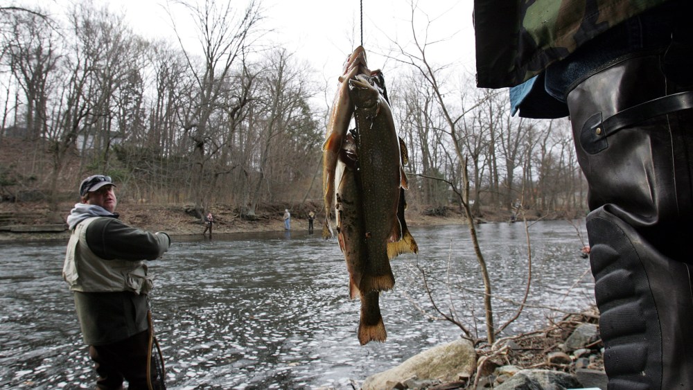 A fisherman looks back at another's catch as he stands in the Ramapo River, Saturday April 7, 2007, in Oakland, N.J.