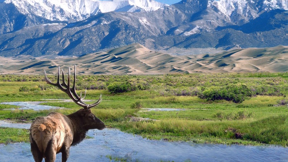 The Sangre de Cristo Mountains, seen here from the Great Sand Dunes National Park, are the backbone of a proposed conservation area announced Friday with a billionaire's pledge to protect 90,000 acres from development.