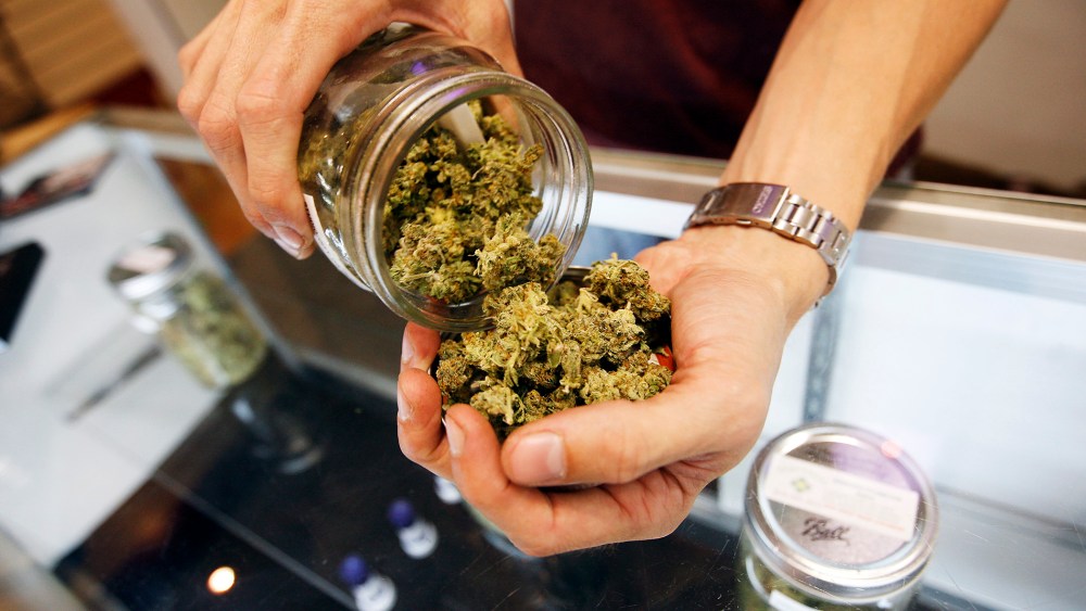 A budtender pours marijuana from a jar at Perennial Holistic Wellness Center medical marijuana dispensary in Los Angeles, California.