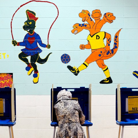 A voter casts her ballot in the gymnasium of Douglas Elementary School on Nov. 6,  2012 in Raleigh, N.C