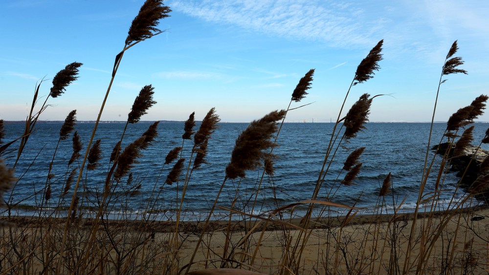 Annual State of the Bay report has been issued and looks at the health of the bay