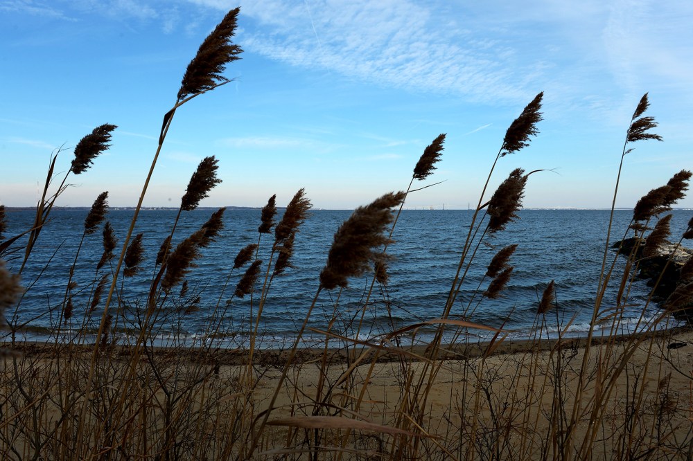 Annual State of the Bay report has been issued and looks at the health of the bay