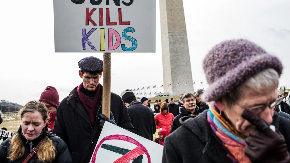 Activisits participate in a rally on the National Mall for stricter gun control laws on Jan. 26, 2013.