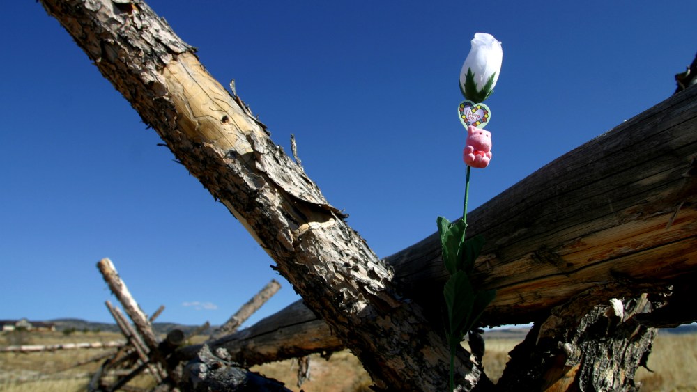 An artificial rose poked into a crack in the rail ranch fence near Laramie, Wyo. in 2003, where Matthew Shepard was tied, beaten and left to die,