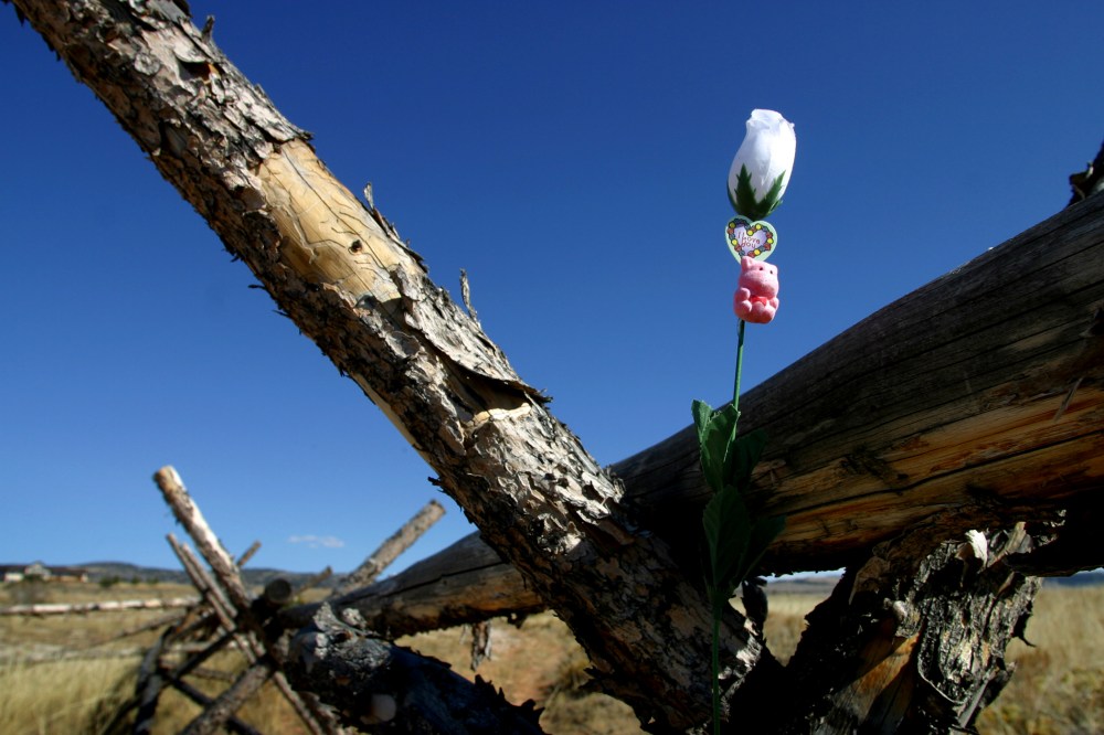 An artificial rose poked into a crack in the rail ranch fence near Laramie, Wyo. in 2003, where Matthew Shepard was tied, beaten and left to die,