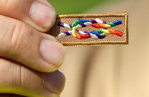 WASHINGTON, DC - MAY 22:  A member of Scouts for Equality holds an unofficial knot patch incorporating the colors of the rainbow, a symbol for gay rights(Photo by Win McNamee/Getty Images)