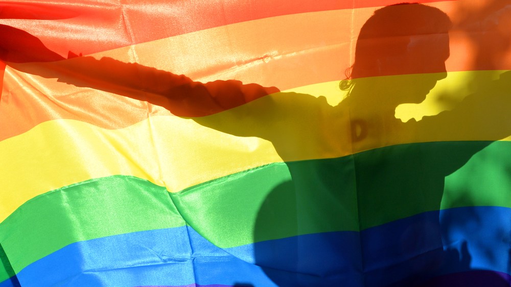 An activist's silhouette is seen through a rainbow flag during a gay rights parade in Kiev on May 25, 2013.