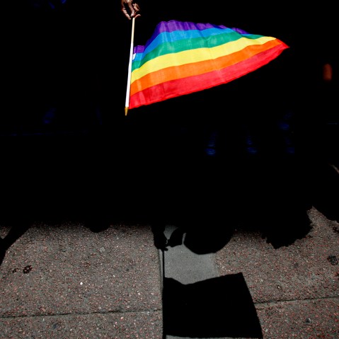 A parade goer waves a flag during 43rd annual San Francisco LGBT Pride Celebration & Parade, June 30, 2013, in San Francisco, Calif.