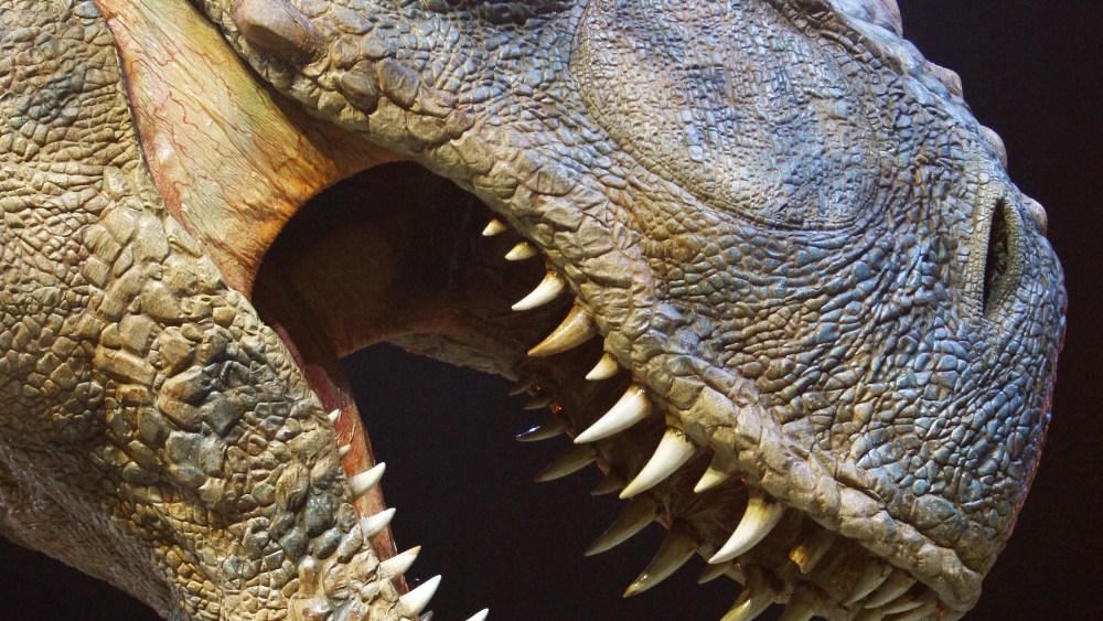 Eight-year-old Jack Osbourne reaches out to touch the teeth of a moving life-size Tyrannosaurus Rex dinosaur during a press launch of "Walking with Dinosaurs" at the O2 Arena in London on March 18, 2009.