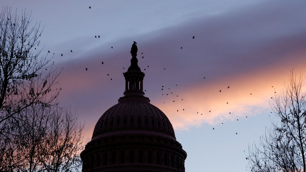 Image: FILE PHOTO: The dome of the U.S. Capitol at dawn in Washington