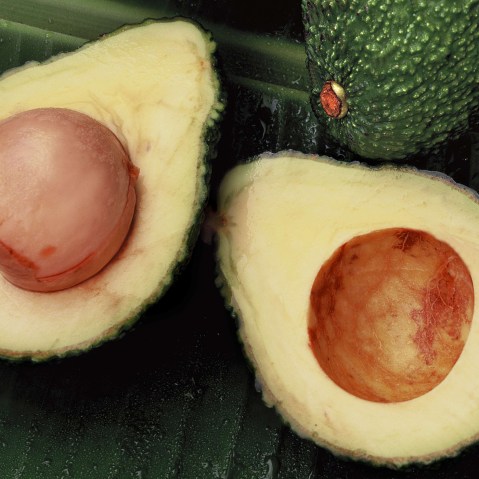 Avocados. (Photo by Luca Invernizzi Tettoni/TIPS/ZUMA)