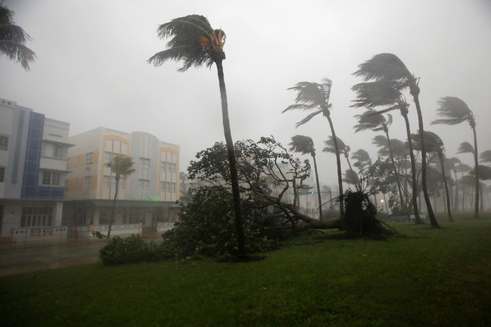 Image: Heavy wind is seen along Ocean Drive in South Beach as Hurricane Irma arrives at south Florida, in Miami Beach