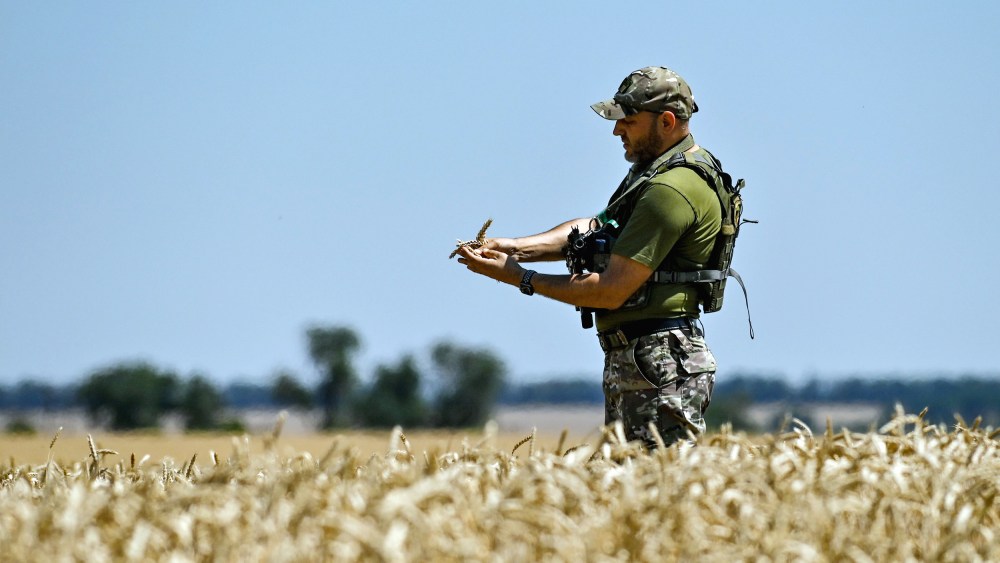 Harvesting crops in Zaporizhzhia Region
